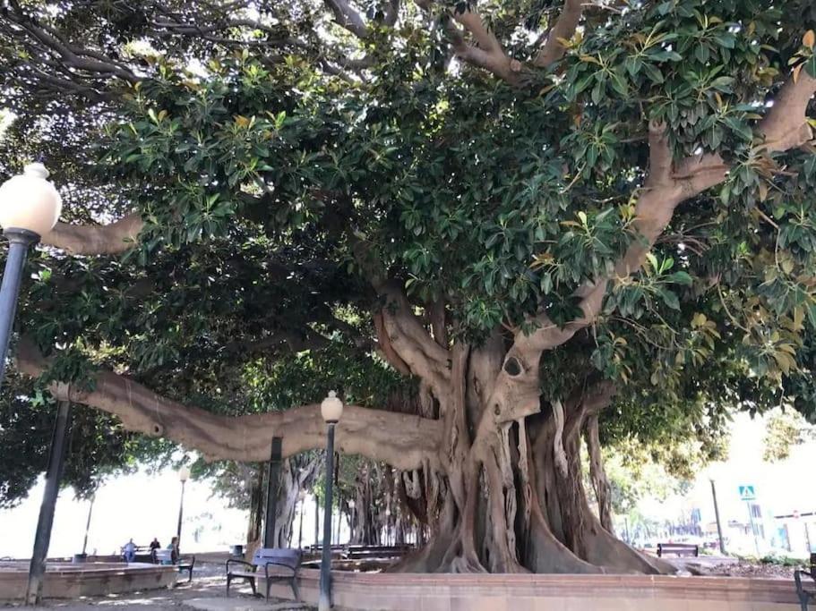 Carpediem Apart Alicante Centro Bajo A Dış mekan fotoğraf
